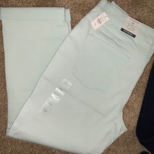 Talbot Boyfriend Size 16p NWT Light Green